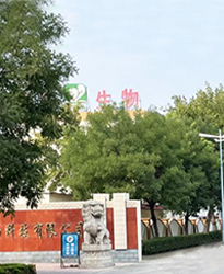眾升科技高壓無功補償柜 --助力山東福洋生物科技股份有限公司,高效用電、改善用電質(zhì)量！